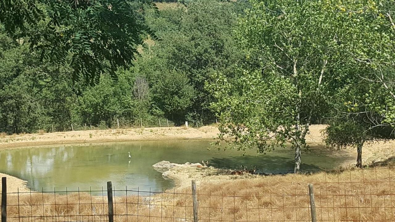 Il Daino Bianco Country Hotel Manciano Εξωτερικό φωτογραφία