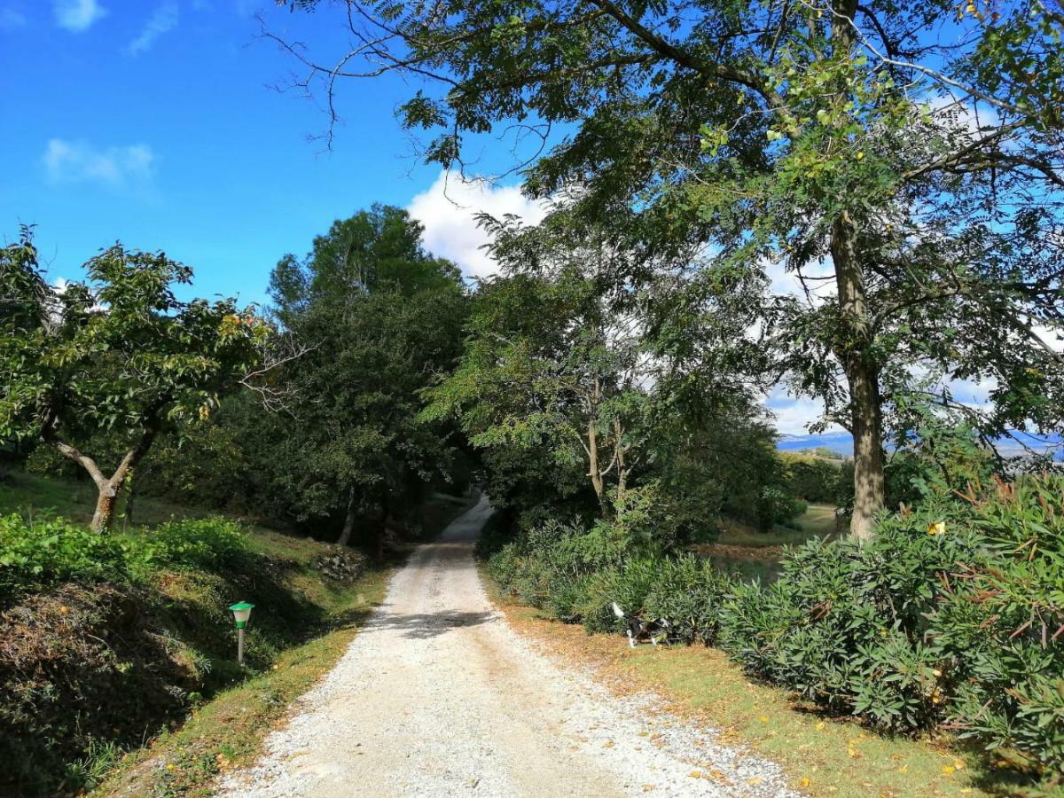Il Daino Bianco Country Hotel Manciano Εξωτερικό φωτογραφία